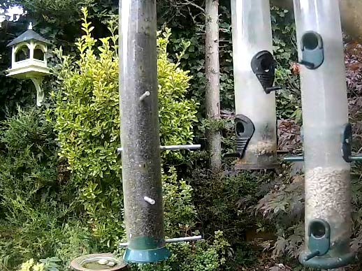Gardenature Bird Feeder Webcam Streamdays